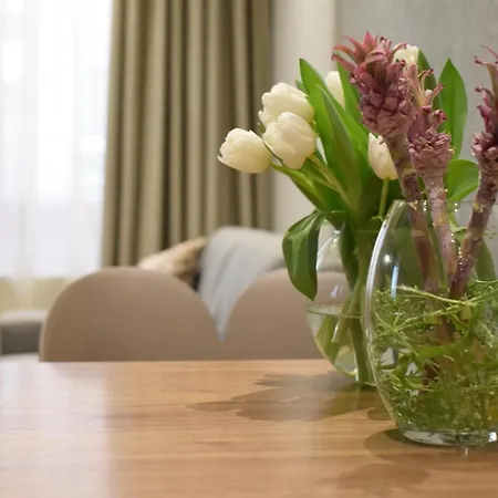 Nv Luxury & 베오그라드